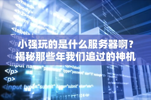 小强玩的是什么服务器啊？揭秘那些年我们追过的神机配置