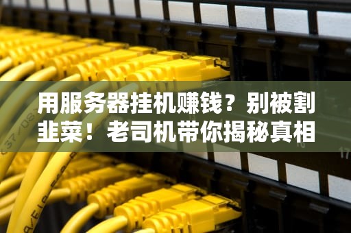 用服务器挂机赚钱？别被割韭菜！老司机带你揭秘真相