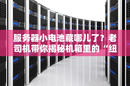 服务器小电池藏哪儿了？老司机带你揭秘机箱里的“纽扣侠”！（附图文详解）