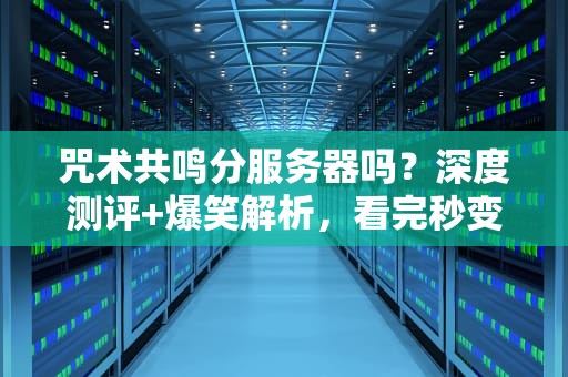 咒术共鸣分服务器吗？深度测评+爆笑解析，看完秒变老司机！