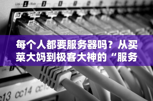 每个人都要服务器吗？从买菜大妈到极客大神的“服务器”生存指南