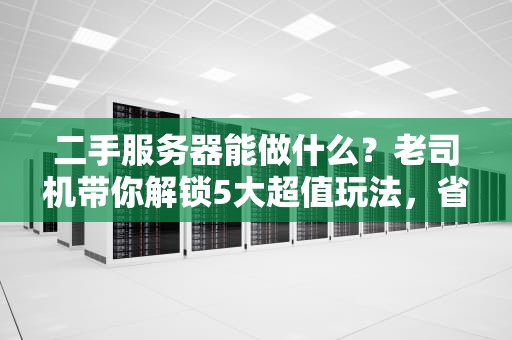 二手服务器能做什么？老司机带你解锁5大超值玩法，省下大把银子！