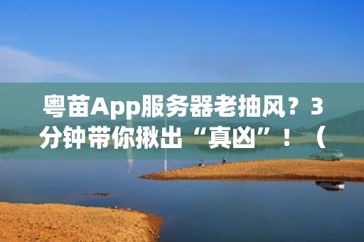 粤苗App服务器老抽风？3分钟带你揪出“真凶”！（附解决方案）