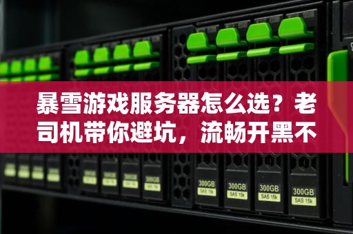 暴雪游戏服务器怎么选？老司机带你避坑，流畅开黑不卡顿！