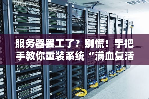 服务器罢工了？别慌！手把手教你重装系统“满血复活”