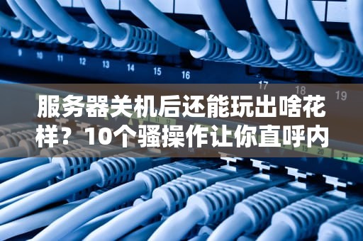 服务器关机后还能玩出啥花样？10个骚操作让你直呼内行！