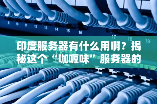 印度服务器有什么用啊？揭秘这个“咖喱味”服务器的N种神奇操作！