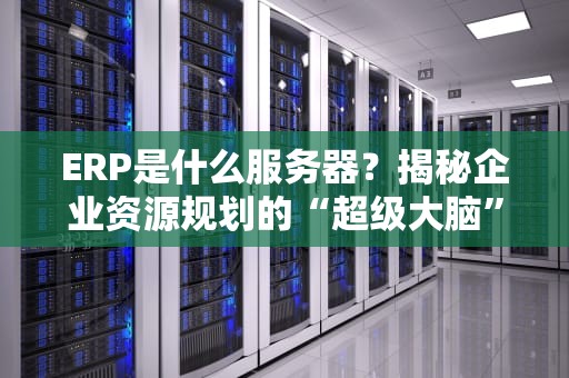 ERP是什么服务器？揭秘企业资源规划的“超级大脑”！