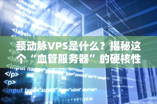 颈动脉VPS是什么？揭秘这个“血管服务器”的硬核性能！
