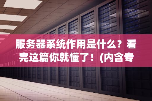 服务器系统作用是什么？看完这篇你就懂了！(内含专业测评+幽默吐槽)