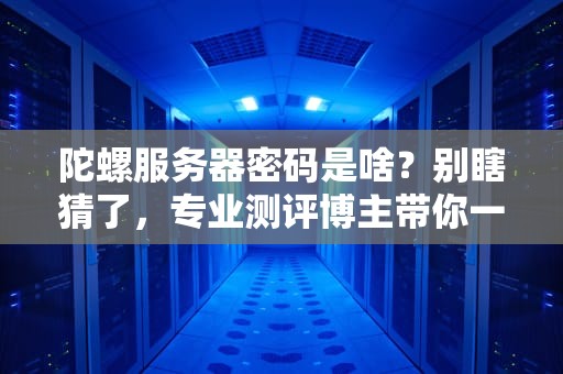 陀螺服务器密码是啥？别瞎猜了，专业测评博主带你一探究竟！