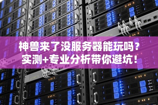 神兽来了没服务器能玩吗？实测+专业分析带你避坑！