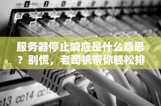 服务器停止响应是什么意思？别慌，老司机带你轻松排雷！