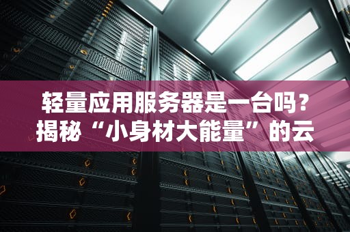 轻量应用服务器是一台吗？揭秘“小身材大能量”的云计算神器！