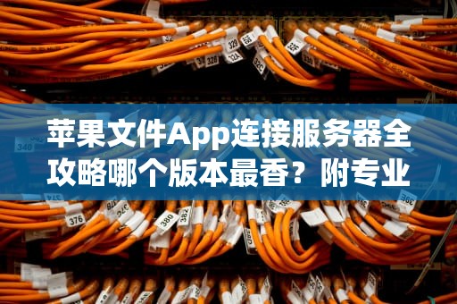 苹果文件App连接服务器全攻略哪个版本最香？附专业测评+避坑指南