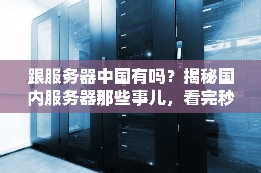 跟服务器中国有吗？揭秘国内服务器那些事儿，看完秒懂！