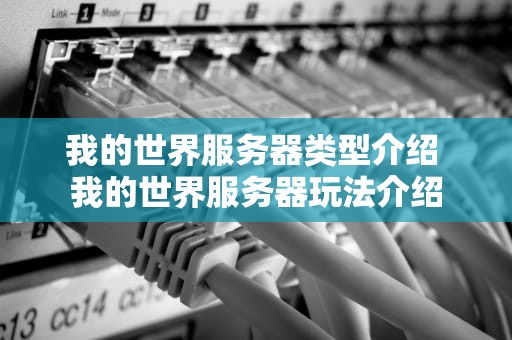 我的世界服务器类型介绍 我的世界服务器玩法介绍
