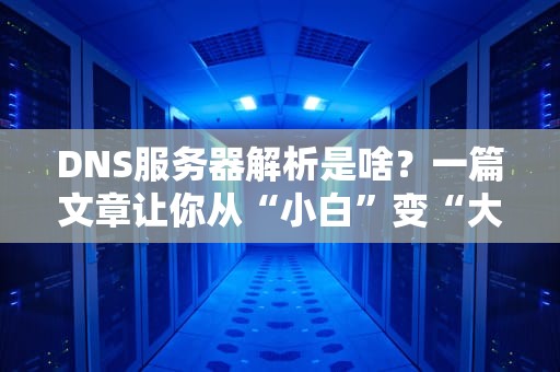 DNS服务器解析是啥？一篇文章让你从“小白”变“大神”！