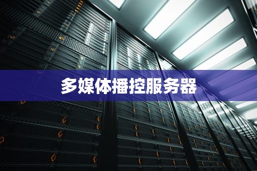 多媒体播控服务器