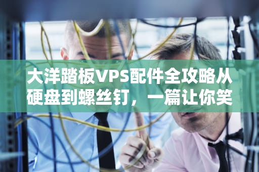 大洋踏板VPS配件全攻略从硬盘到螺丝钉，一篇让你笑出腹肌的硬核科普