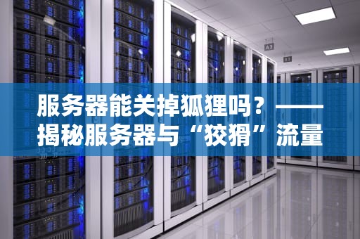 服务器能关掉狐狸吗？——揭秘服务器与“狡猾”流量的那些事儿