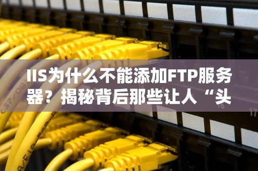 IIS为什么不能添加FTP服务器？揭秘背后那些让人“头秃”的技术小秘密！