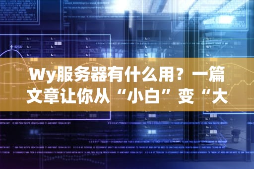 Wy服务器有什么用？一篇文章让你从“小白”变“大神”！