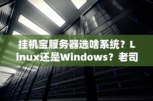 挂机宝服务器选啥系统？Linux还是Windows？老司机带你避坑！
