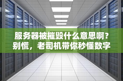服务器被摧毁什么意思啊？别慌，老司机带你秒懂数字车祸现场！