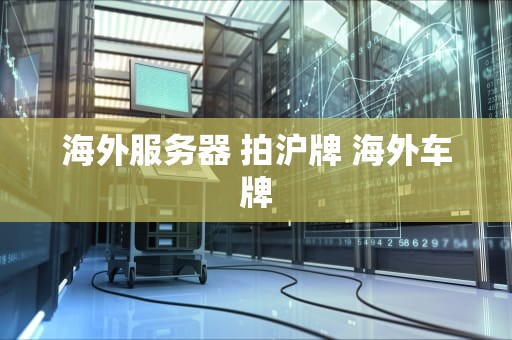 海外服务器 拍沪牌 海外车牌