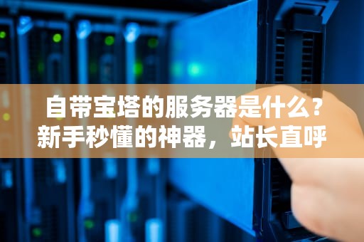 自带宝塔的服务器是什么？新手秒懂的神器，站长直呼“真香”！