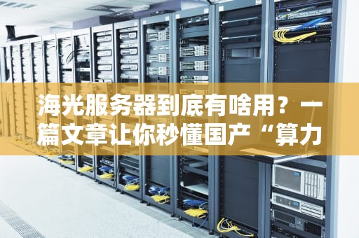 海光服务器到底有啥用？一篇文章让你秒懂国产“算力猛兽”的硬核实力！
