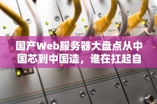 国产Web服务器大盘点从中国芯到中国造，谁在扛起自主可控大旗？