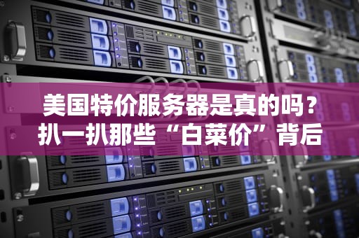 美国特价服务器是真的吗？扒一扒那些“白菜价”背后的猫腻！