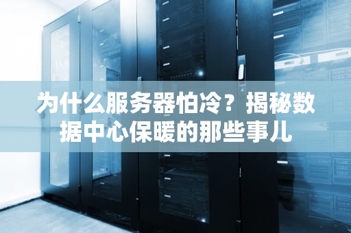为什么服务器怕冷？揭秘数据中心保暖的那些事儿