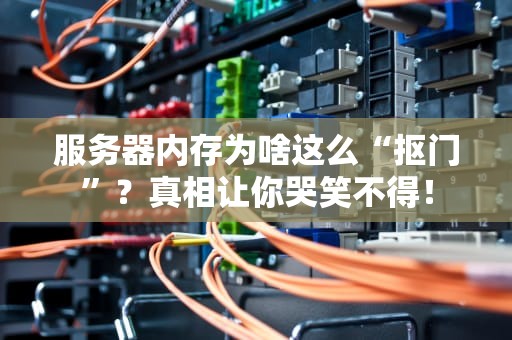 服务器内存为啥这么“抠门”？真相让你哭笑不得！