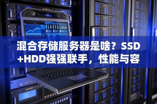 混合存储服务器是啥？SSD+HDD强强联手，性能与容量我全都要！