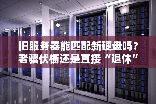 旧服务器能匹配新硬盘吗？老骥伏枥还是直接“退休”？专业测评+避坑指南