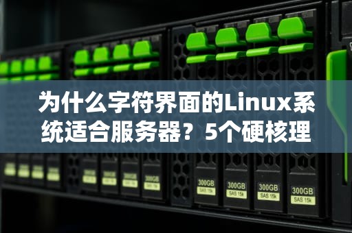 为什么字符界面的Linux系统适合服务器？5个硬核理由让你秒懂！