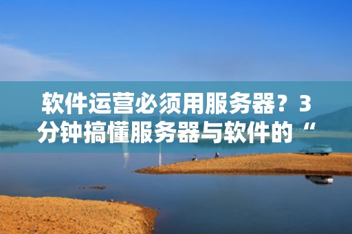 软件运营必须用服务器？3分钟搞懂服务器与软件的“爱情故事”