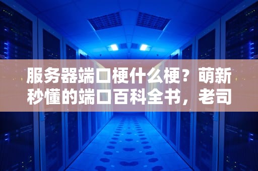 服务器端口梗什么梗？萌新秒懂的端口百科全书，老司机都笑出鹅叫！