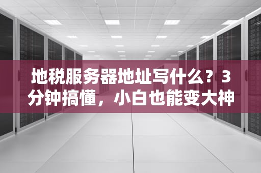 地税服务器地址写什么？3分钟搞懂，小白也能变大神！