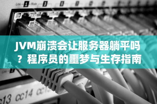 JVM崩溃会让服务器躺平吗？程序员的噩梦与生存指南
