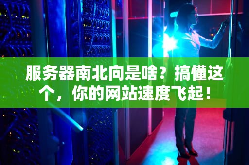 服务器南北向是啥？搞懂这个，你的网站速度飞起！