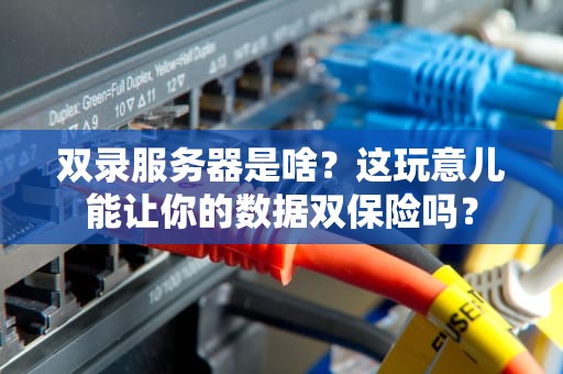 双录服务器是啥？这玩意儿能让你的数据双保险吗？