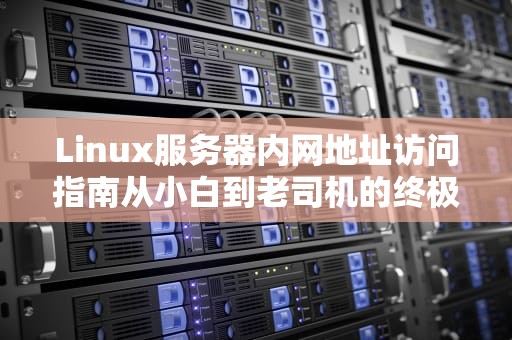Linux服务器内网地址访问指南从小白到老司机的终极姿势