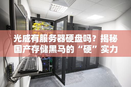 光威有服务器硬盘吗？揭秘国产存储黑马的“硬”实力！