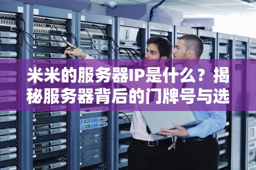 米米的服务器IP是什么？揭秘服务器背后的门牌号与选购技巧
