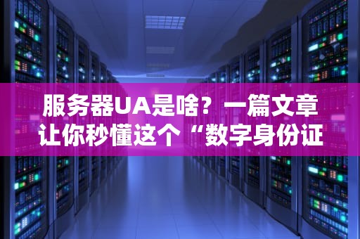 服务器UA是啥？一篇文章让你秒懂这个“数字身份证”的奥秘！