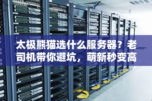 太极熊猫选什么服务器？老司机带你避坑，萌新秒变高玩！